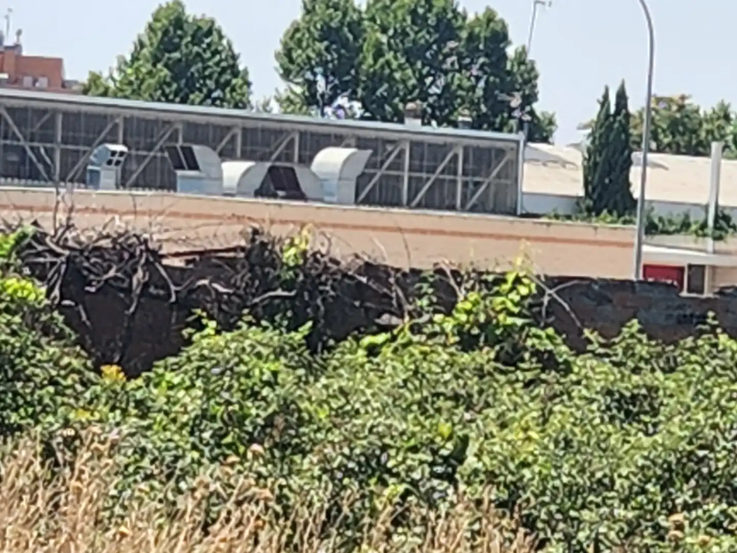 Terreno residenziale in vendita a Marchamalo, imagen 18
