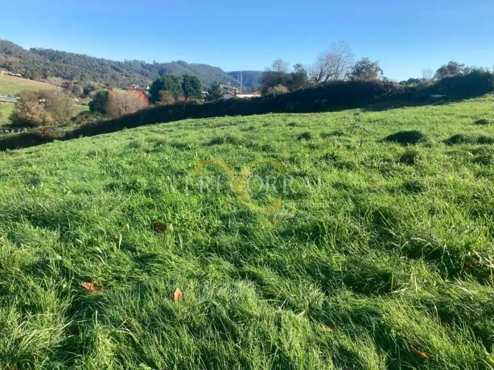 Terreny residencial en venda a El Peral, imagen 7