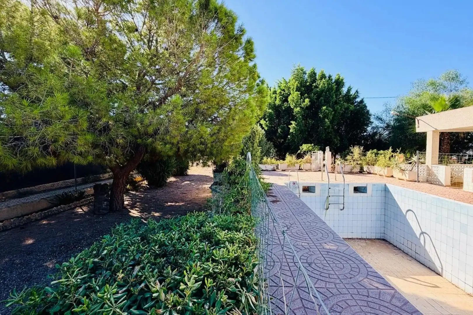 Vista exterior de Casa o chalet en venta en Crevillent, Alicante