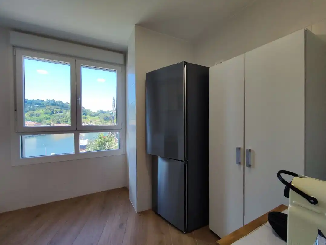 Flat for rent in Paseo casares, Altza
