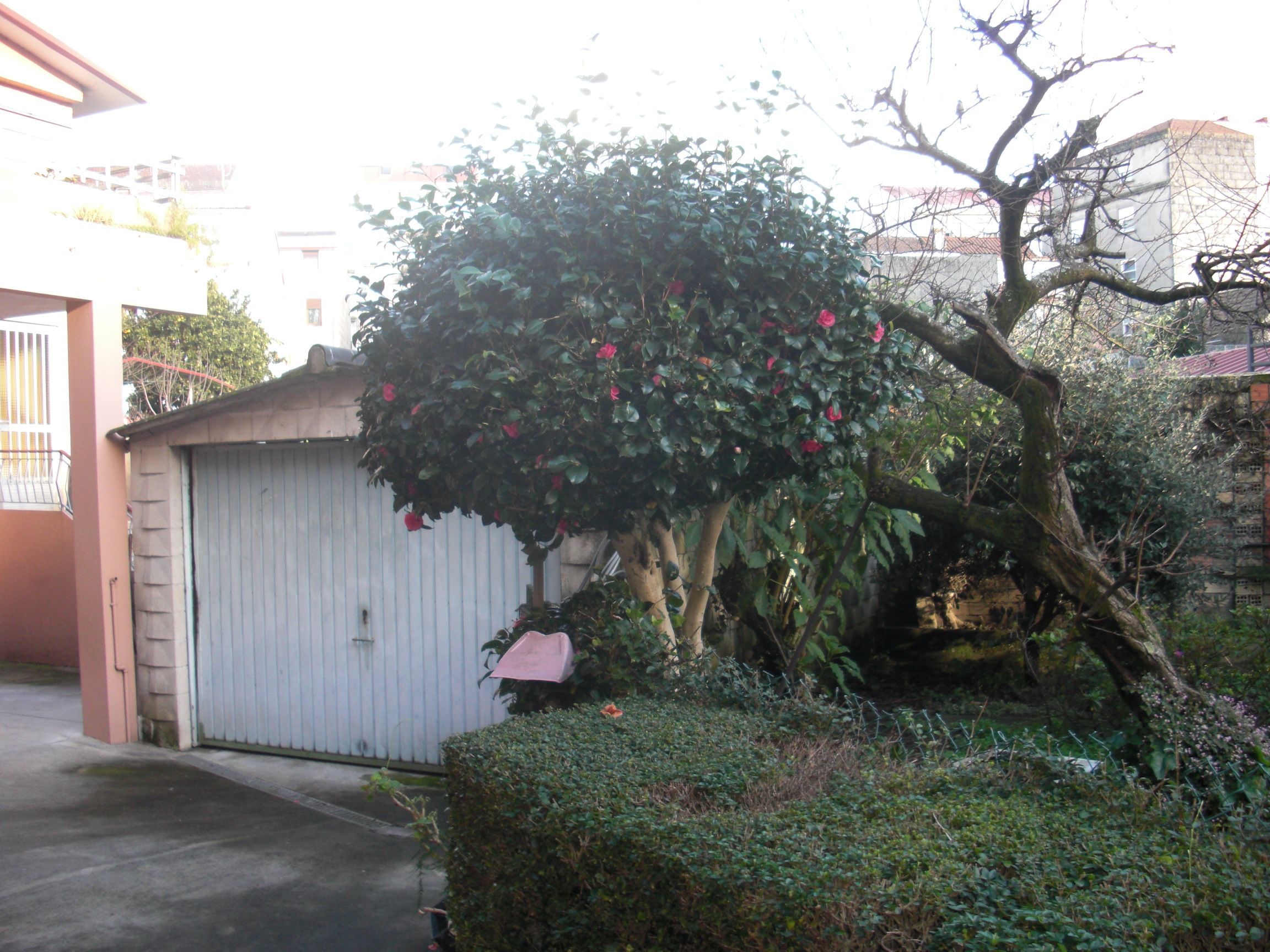Jardín de Casa o chalet en venta en Vigo  con Jardín privado, Parquet y Terraza