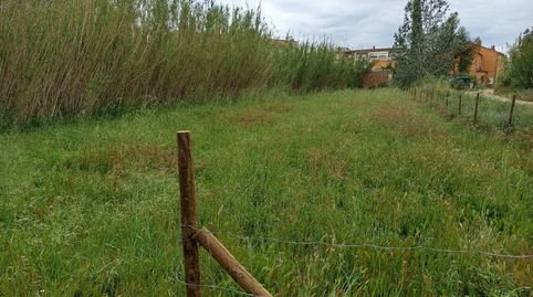 Terreny agrícola de regadiu, immagine 5