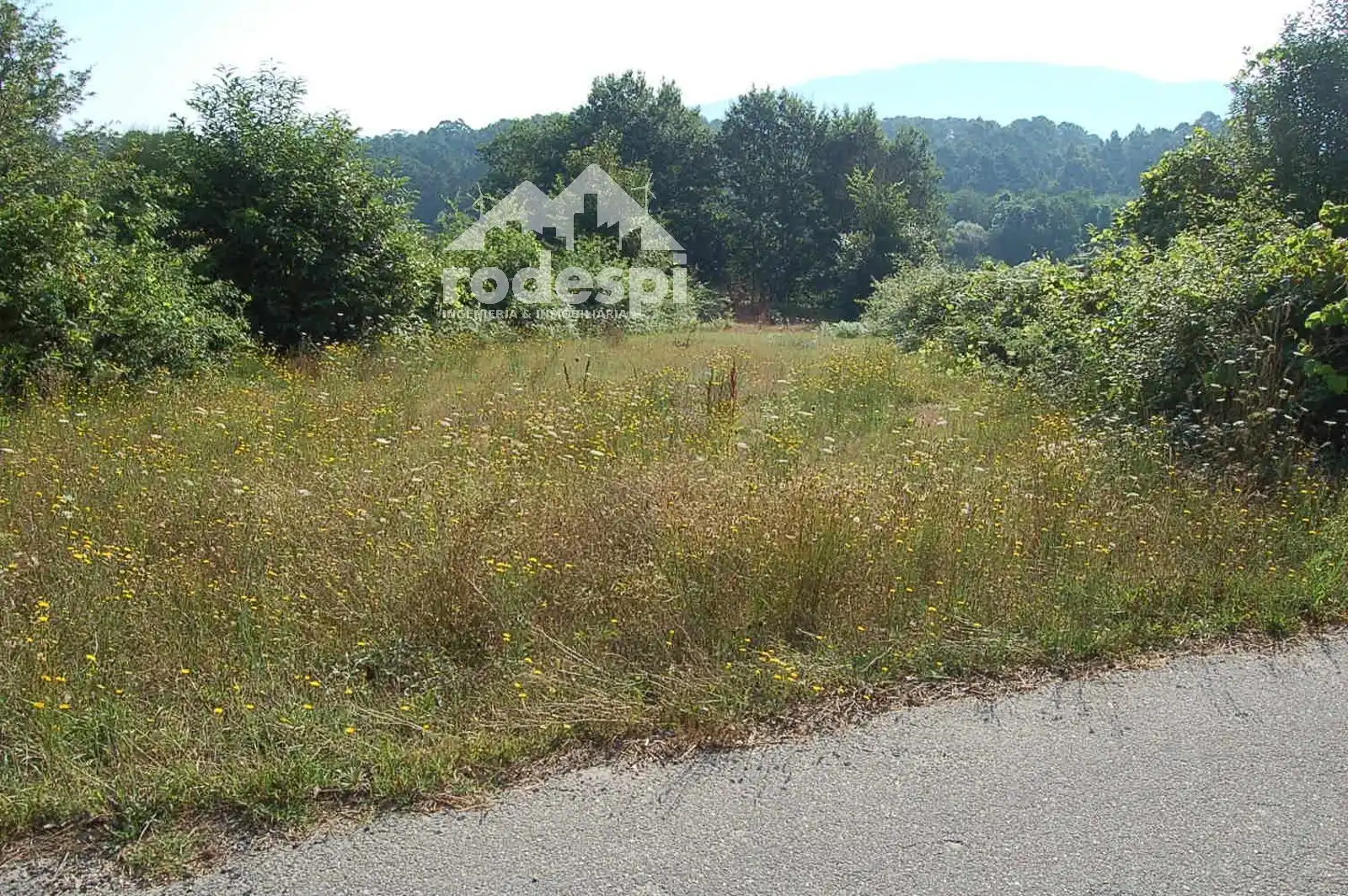 Rural land for sale in Salvaterra de Miño, imagen 2