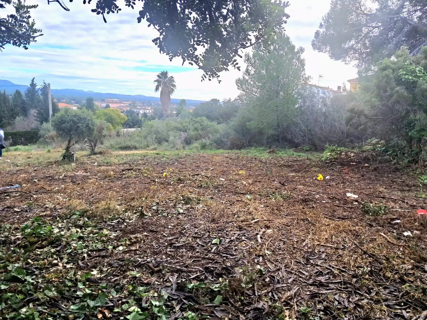 Terrenos y solares en venta en Calle El Pedregal, imagen 4
