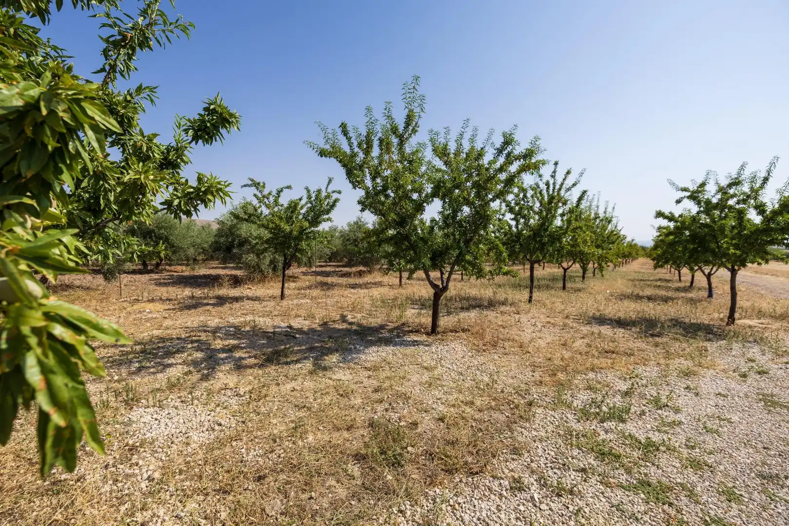 Casa o chalet en venta en Darro con Aire acondicionado, Calefacción y Jardín privado