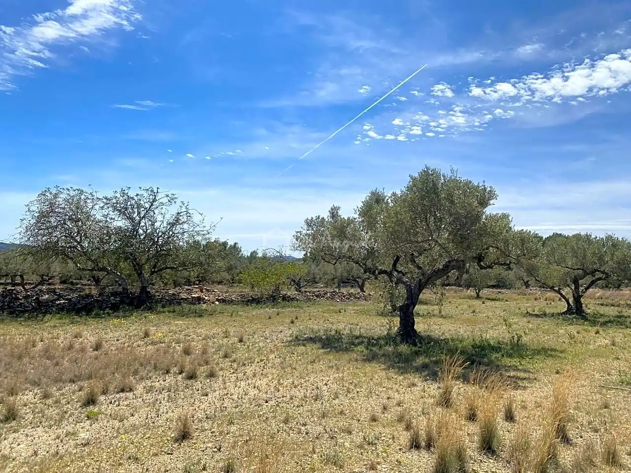 Terreno rustico in vendita a Mas de Baralluga, imagen 13