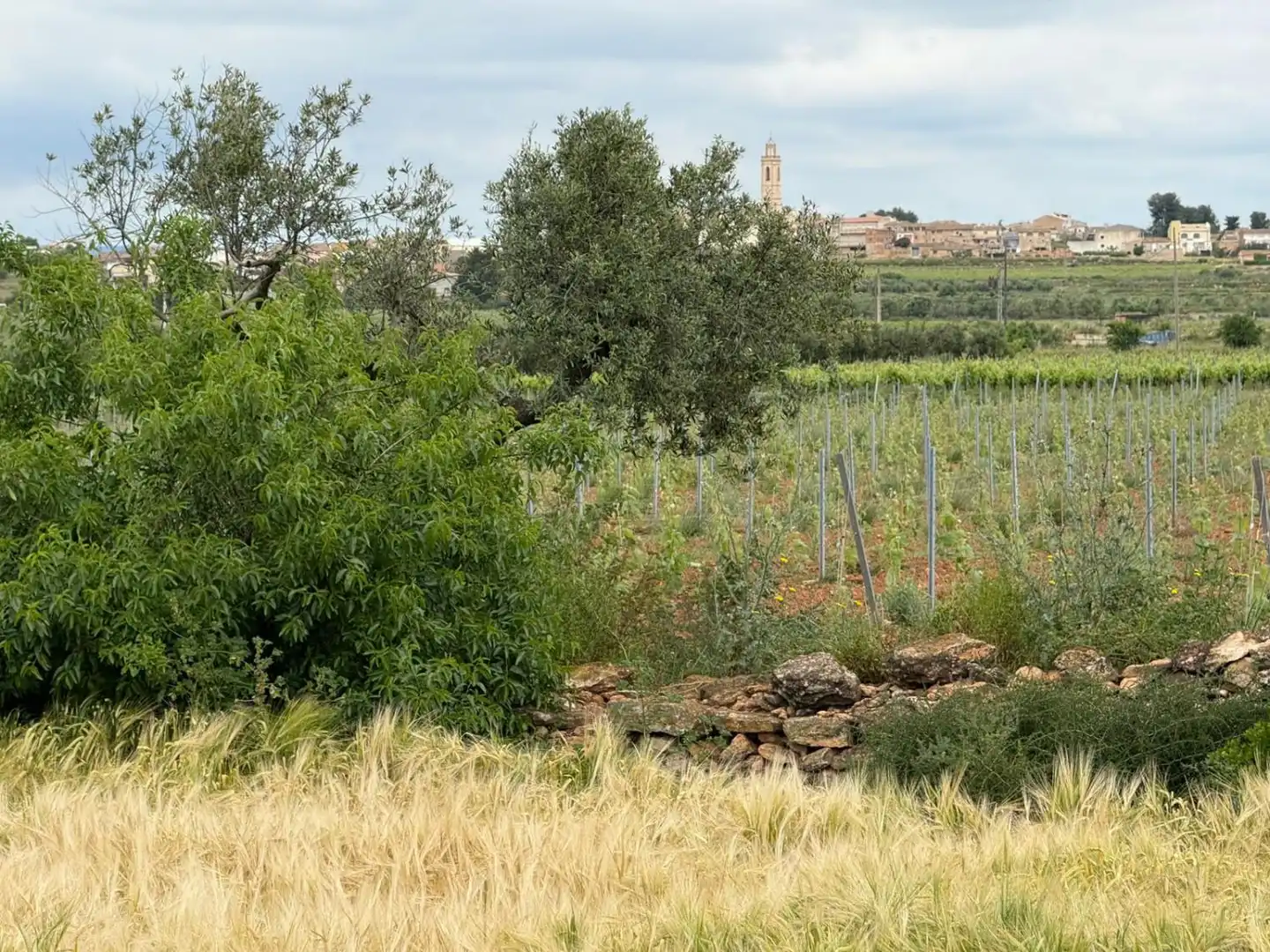 Casa rustica in vendita a Masllorenç, imagen 12