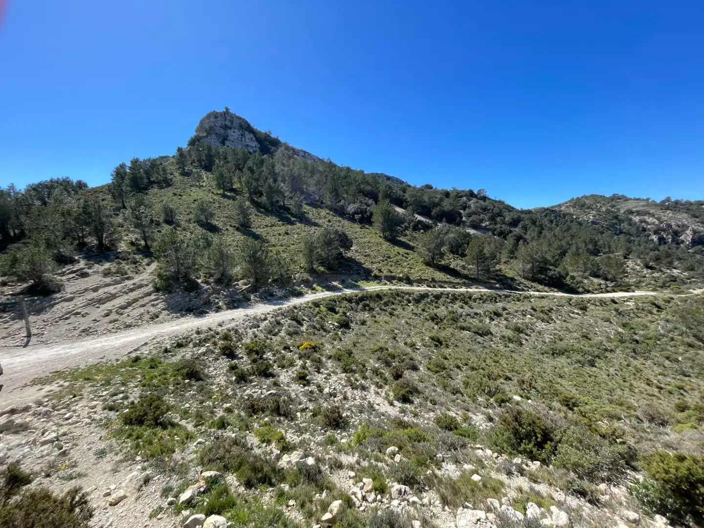 Terrain rustique à vendre à Tivissa, imagen 18