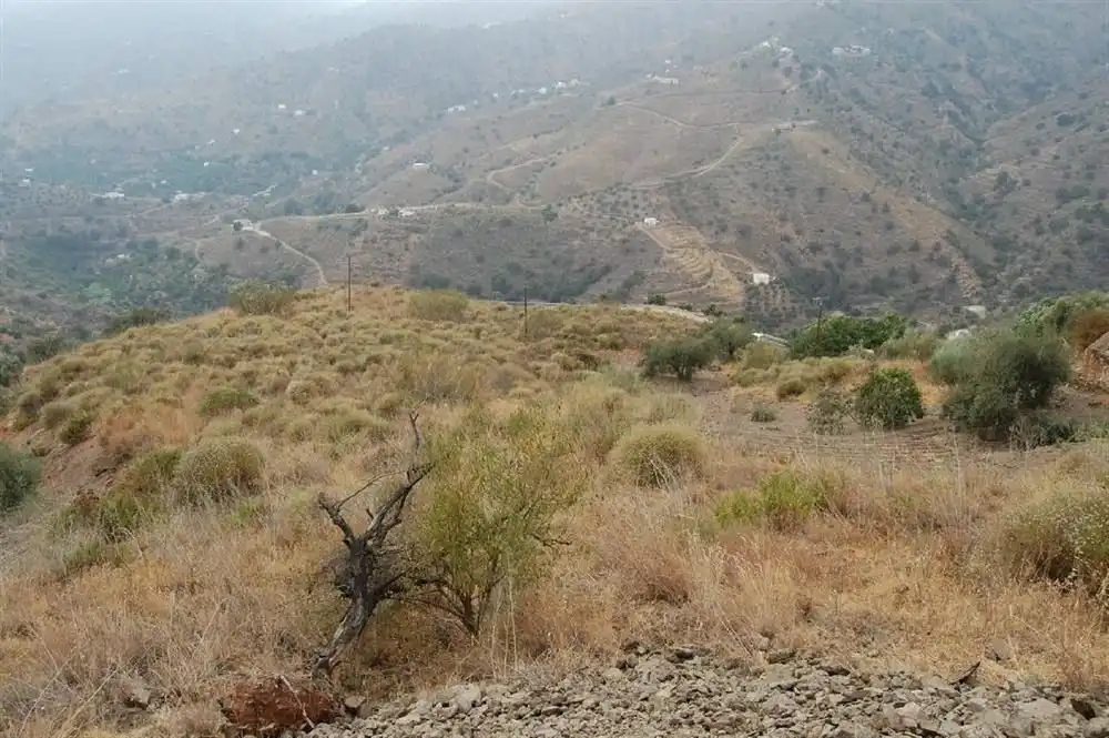 Terreny rústic en venda a Sayalonga, imagen 14