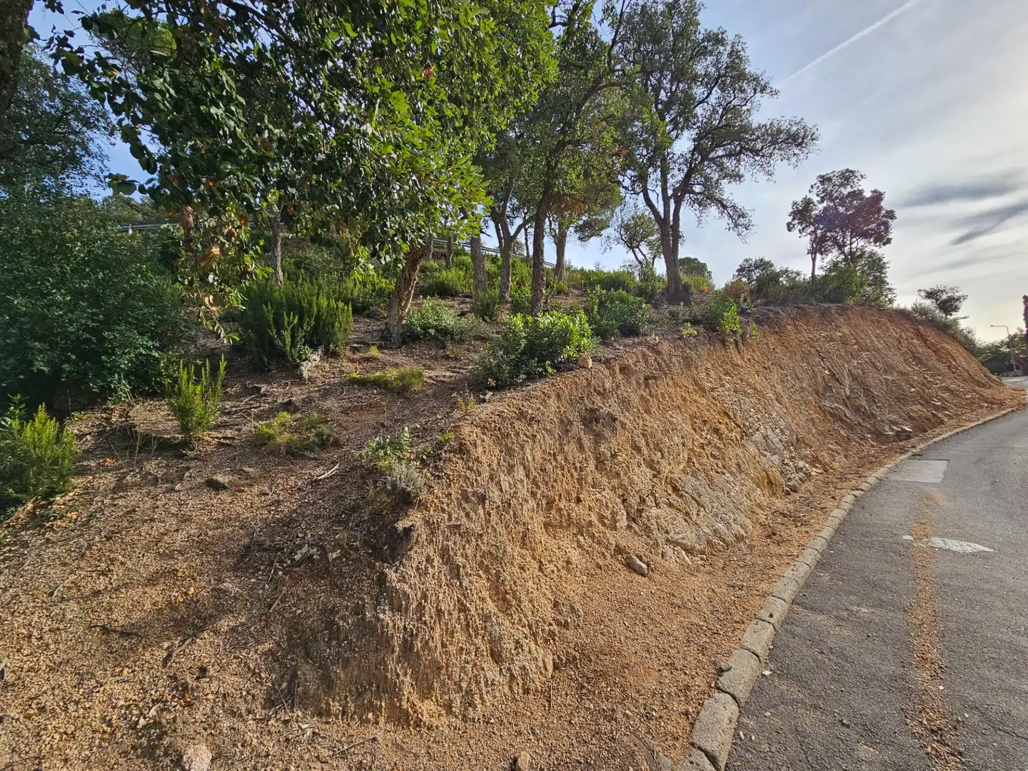 Residential land for sale in Urbanizacion de Rosamar 126, imagen 16