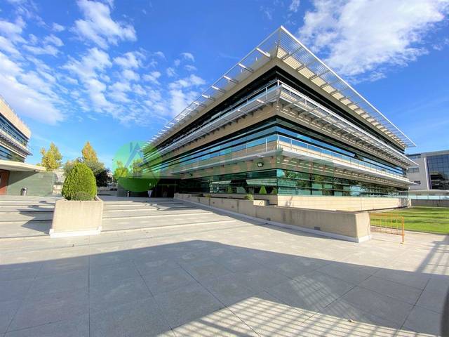 Oficina en Alquiler en El Pinar - Punta Galea