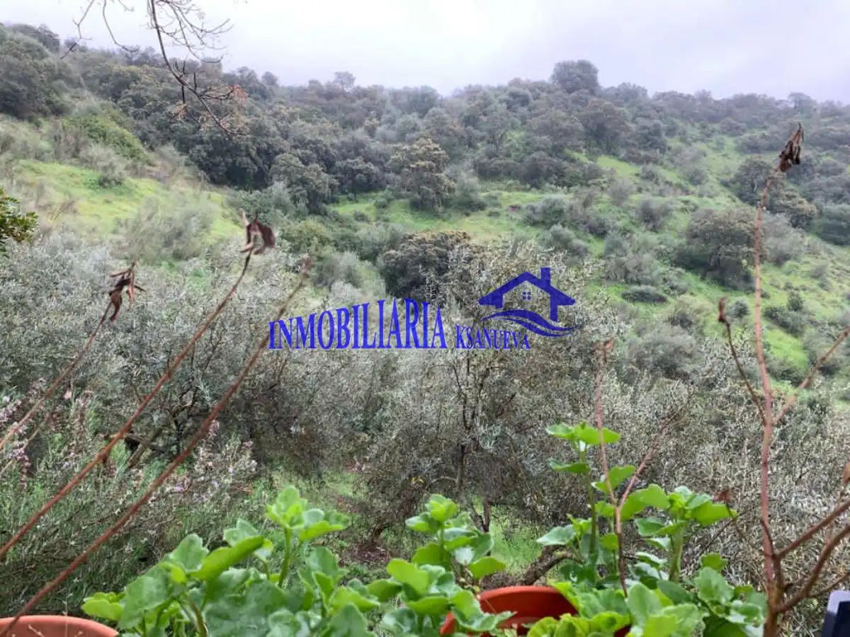 Casa rústica en venda a Periurbano Este - Campiña, imagen 10