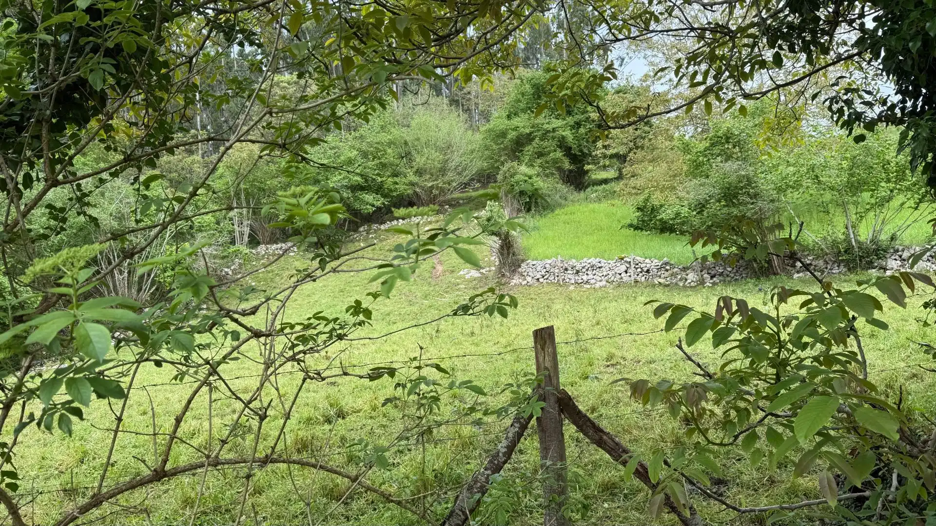 Land for sale in Valdáliga