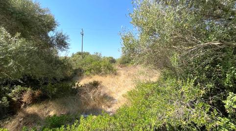 Photo 3 of Land for sale in Cala Magrana - Cala Anguila - Cala Mendia, Manacor