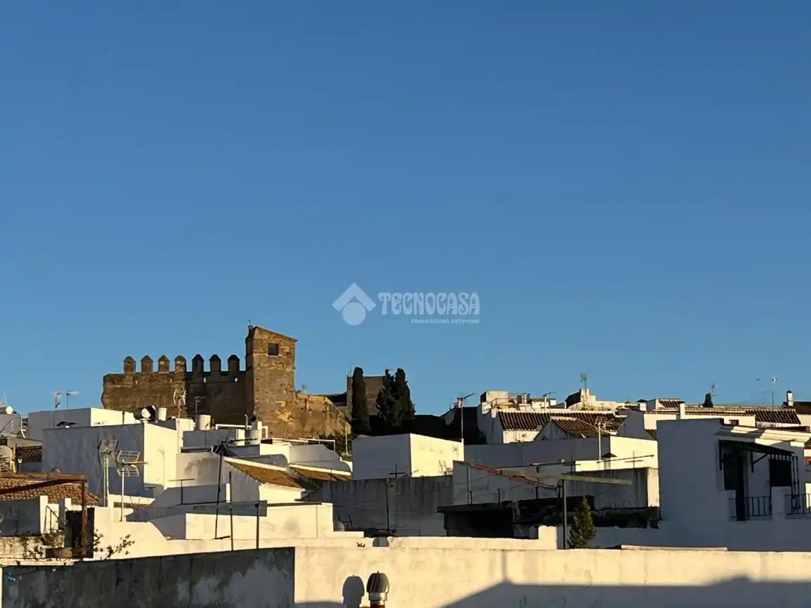 Vista exterior de Casa o xalet en venda en Carmona amb Aire condicionat i Alarma