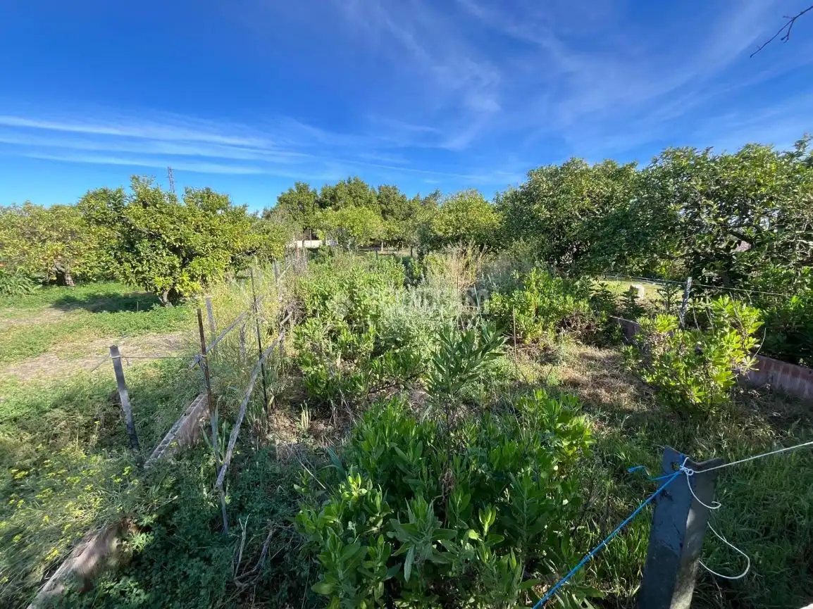 Terreno rústico en venta en Jerez norte - Montealto - Pozoalbero, imagen 10