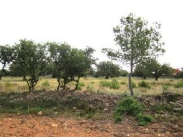 Terreny residencial en venda a Urbanización los Visos