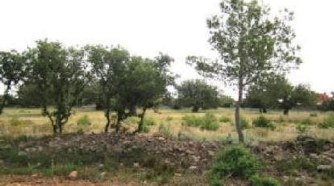 TERRENO URBANO, CHESTE.