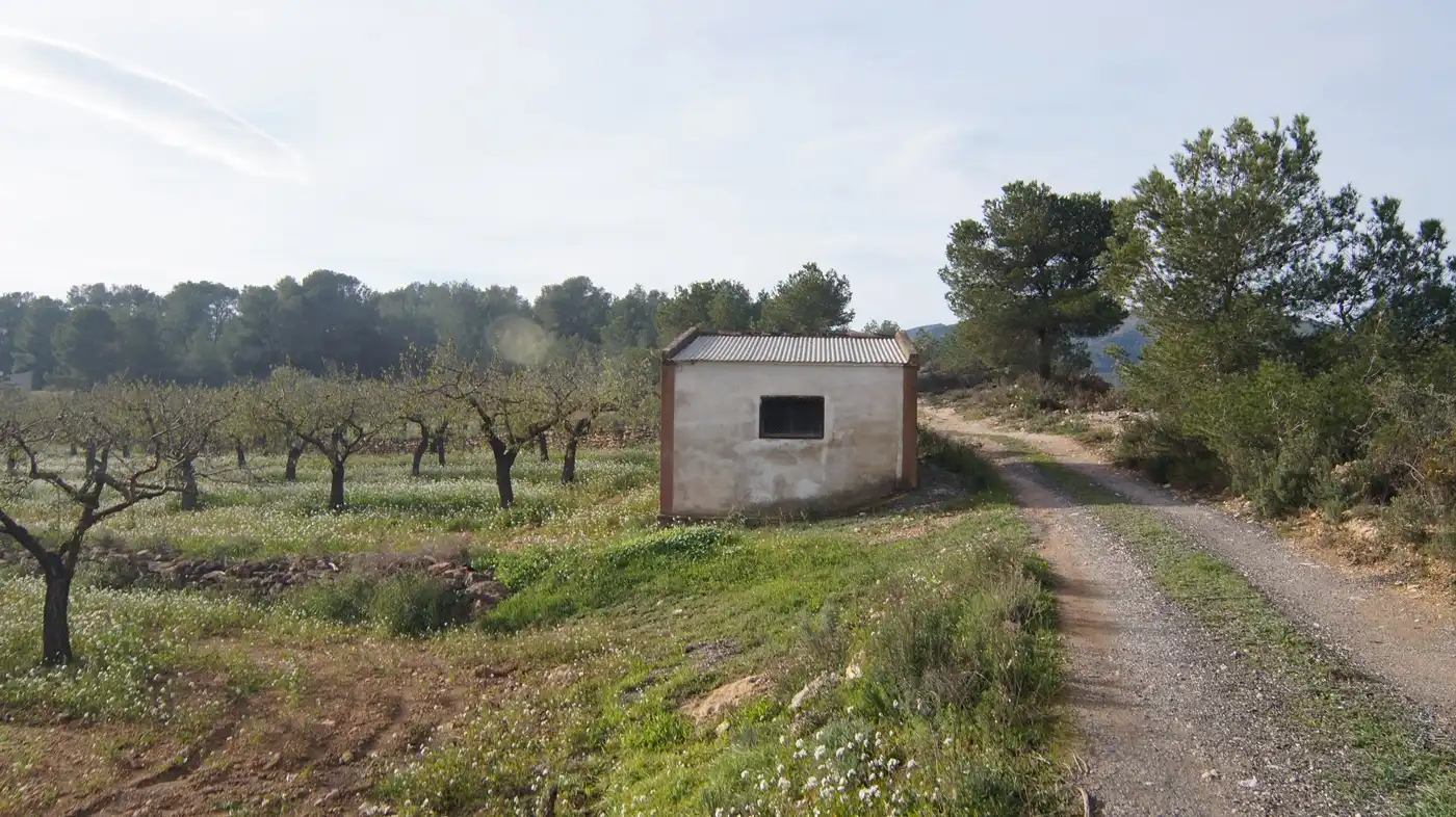 Terrain rustique à vendre à Rasquera, imagen 19