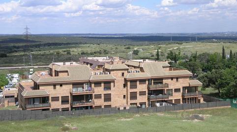 Photo 4 of Garage to rent in N/a, -1, Pinar de las Rozas, Las Rozas de Madrid