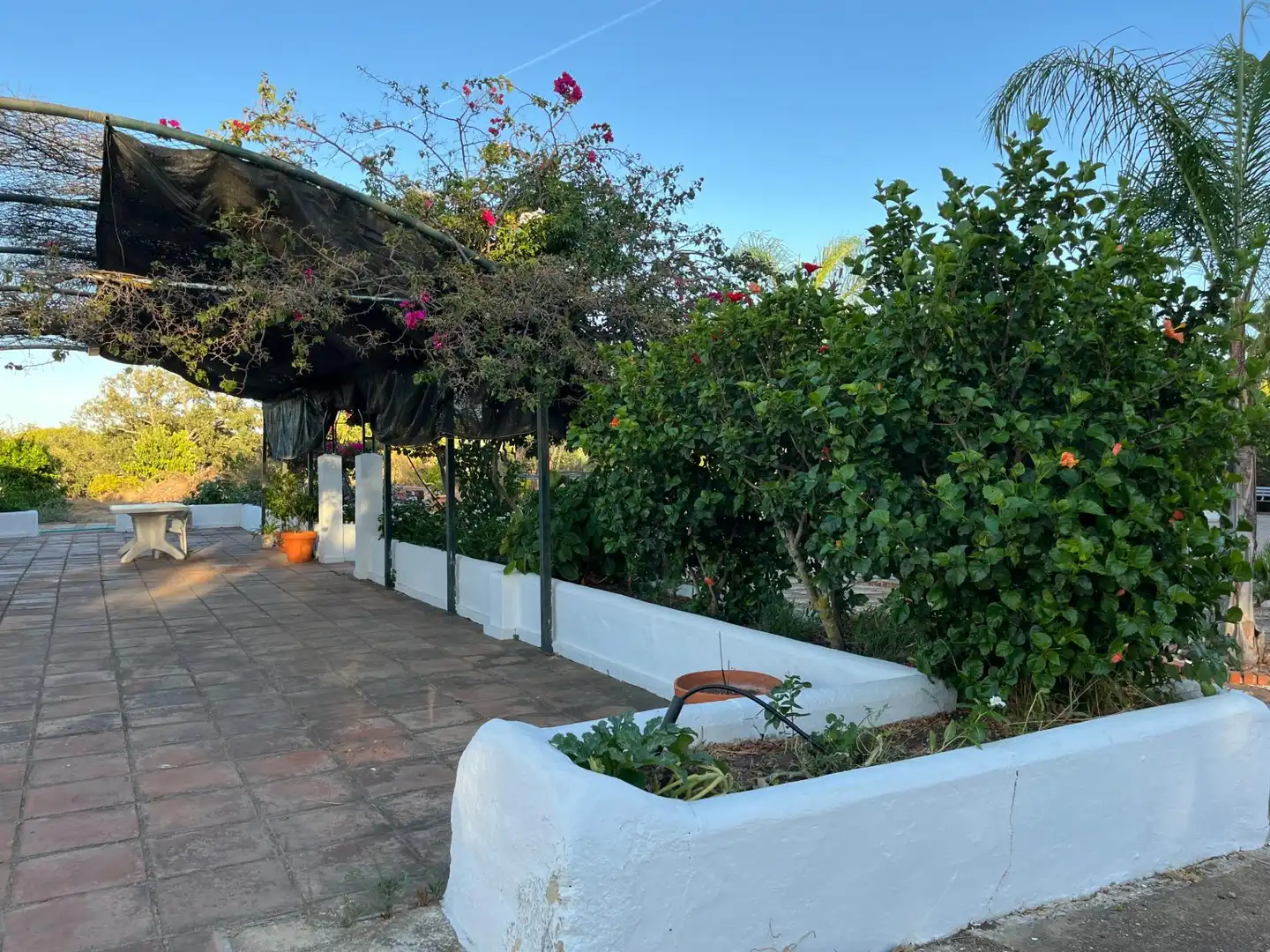 Casa rústica con piscina en venta en Camino Camino de Ayamonte, imagen 24