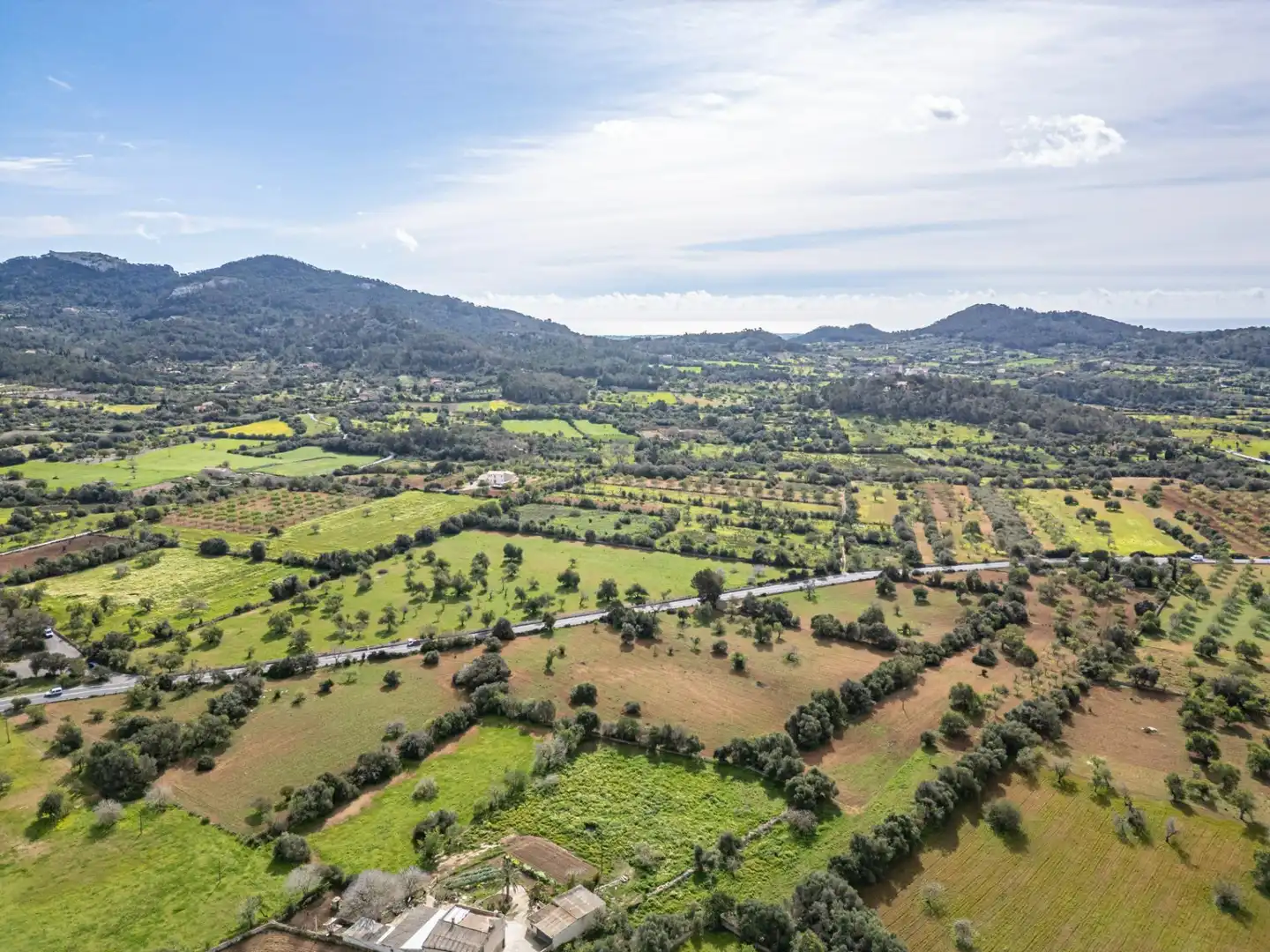 Rural land for sale in Felanitx Poble, imagen 12