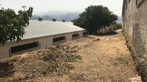 Photo 4 of Industrial buildings for sale in Padul, Granada