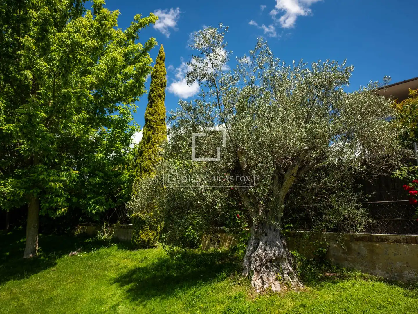 Casa o xalet en venda en Algete amb Aire condicionat, Jardí privat i Terrassa