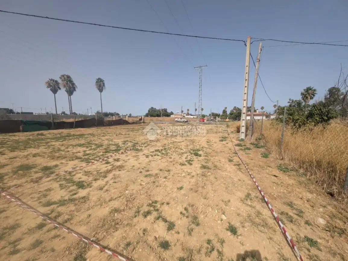 Rural land for sale in El Rocío - La Milagrosa, imagen 3