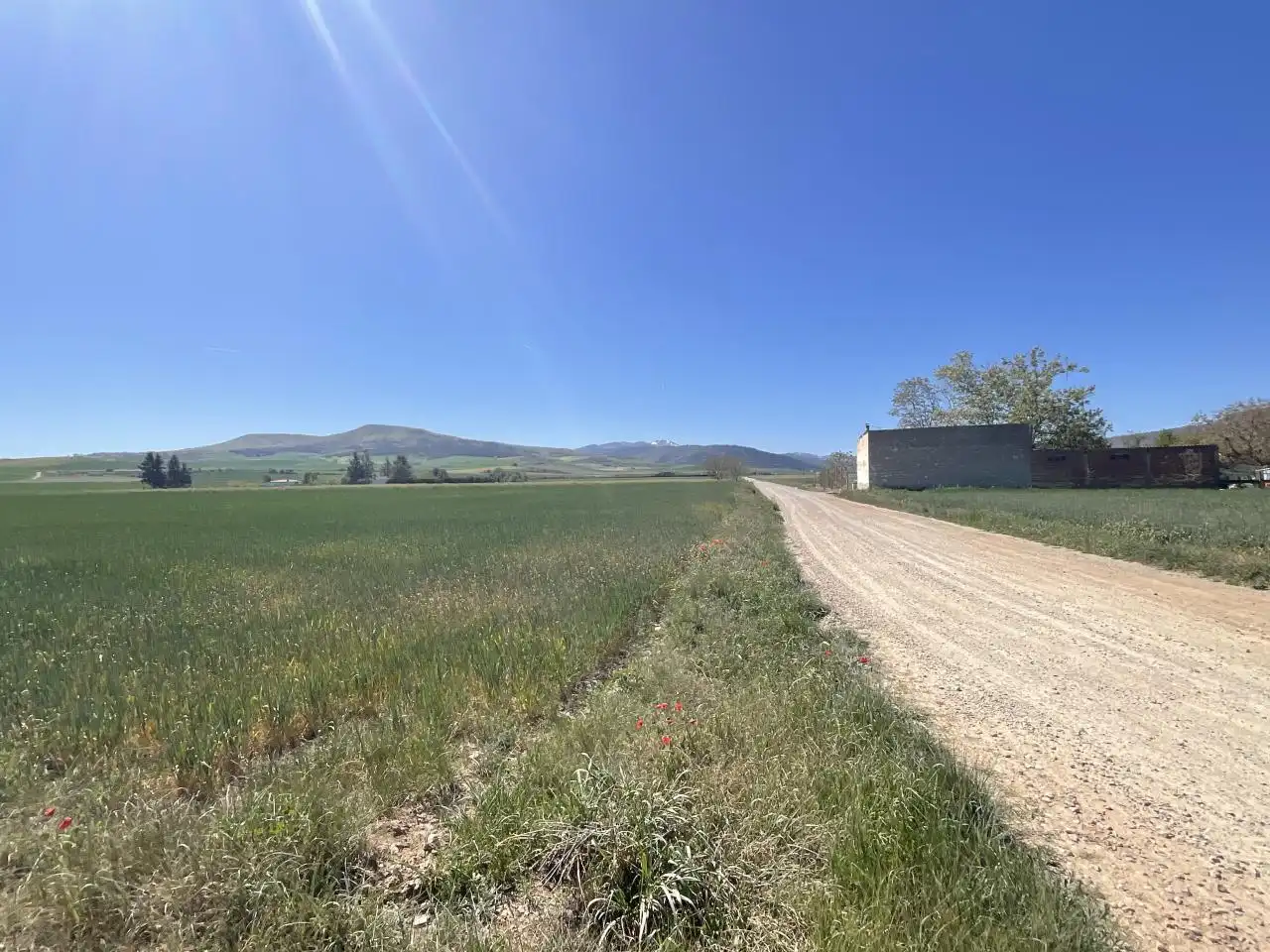 Terreny rústic en venda a Santo Domingo de la Calzada, imagen 8