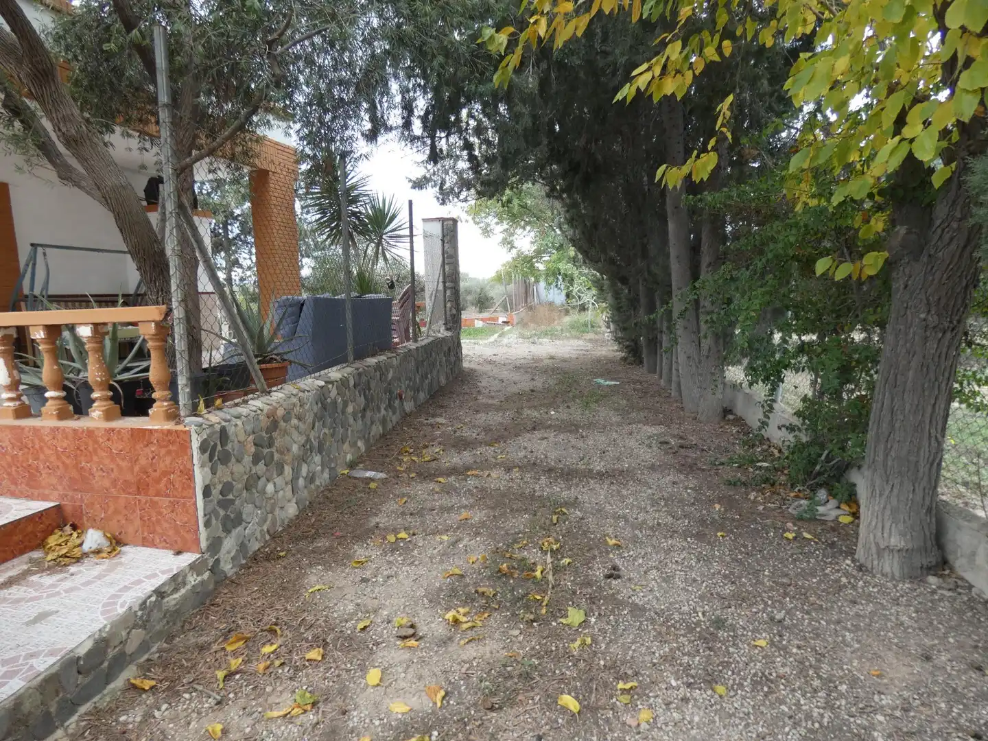 Vista exterior de Casa o chalet en venta en Murcia con Aire acondicionado, Jardín privado y Terraza