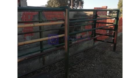 Foto 3 de Finca rústica en venda a Valdesalor - Rincón de Ballesteros, Cáceres