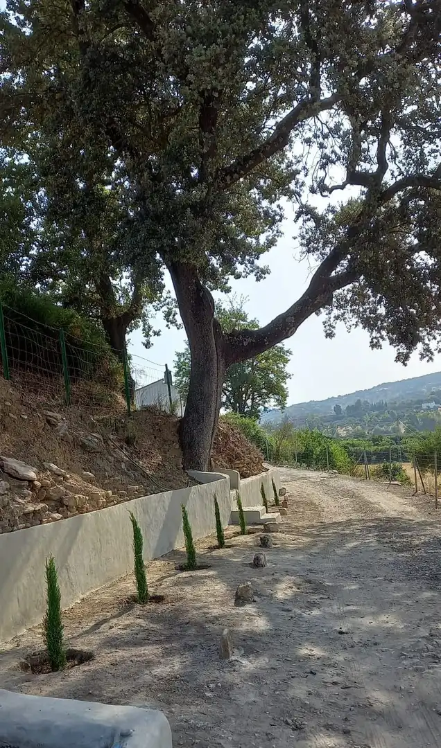 Casa rustica con piscina in vendita a Partidas Norte, imagen 25