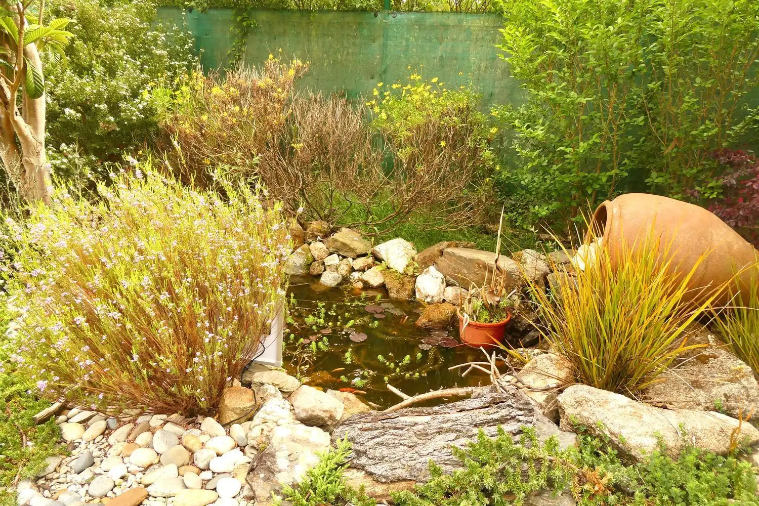 Villa avec jardin à vendre à ferreira, imagen 40