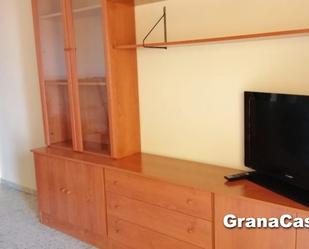 Living room of Attic to rent in  Granada Capital  with Air Conditioner, Heating and Furnished