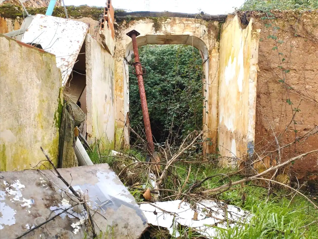 Detached homes for sale in San Pablo, Las Mercedes - El Carmen