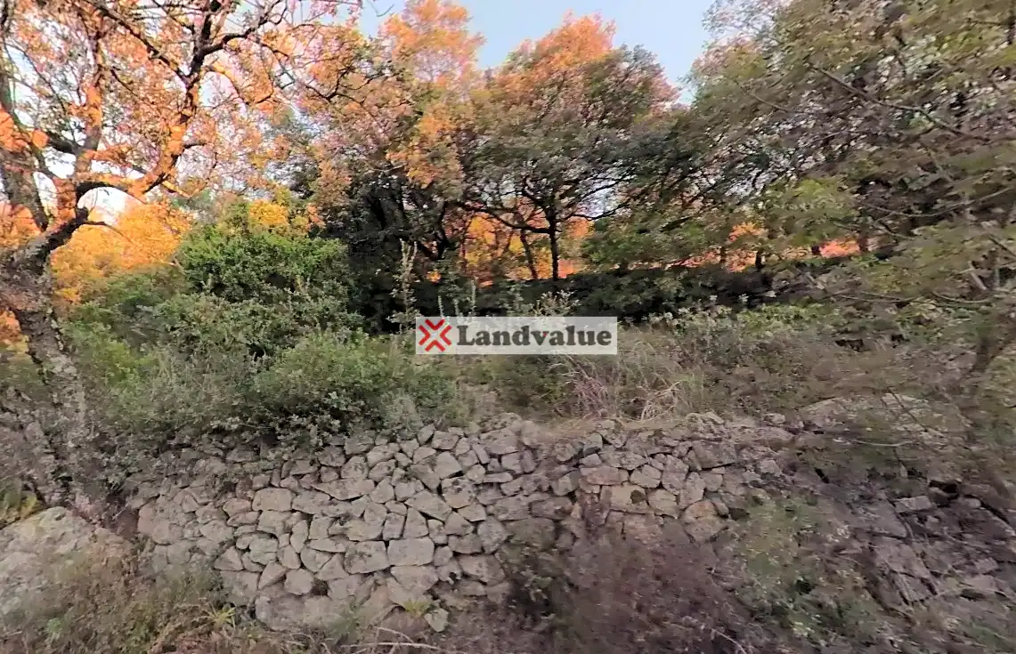 Terreni e lotti in vendita a Candeleda, imagen 6