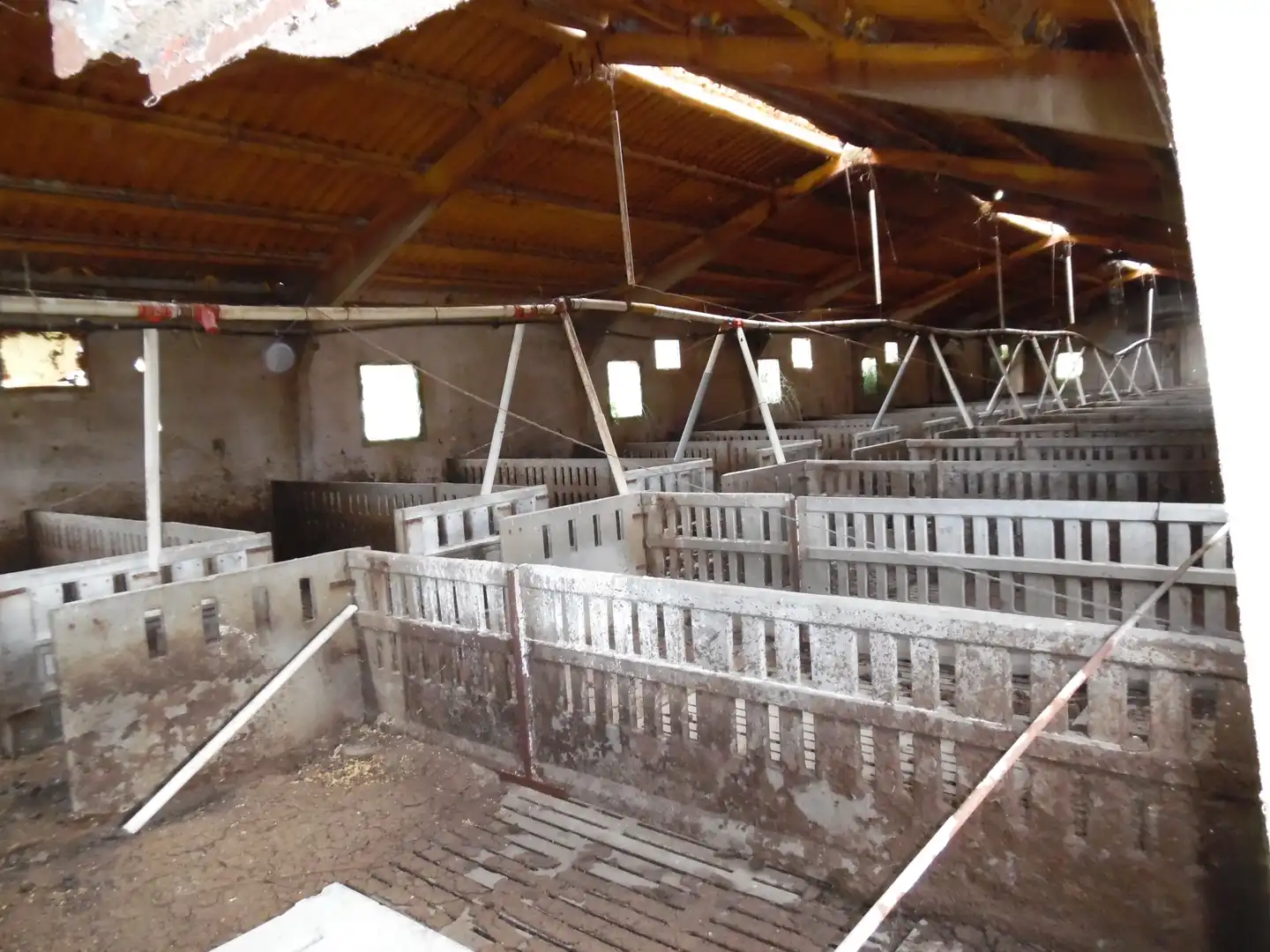 Nave industrial in vendita a PR EL SOLANO, imagen 13