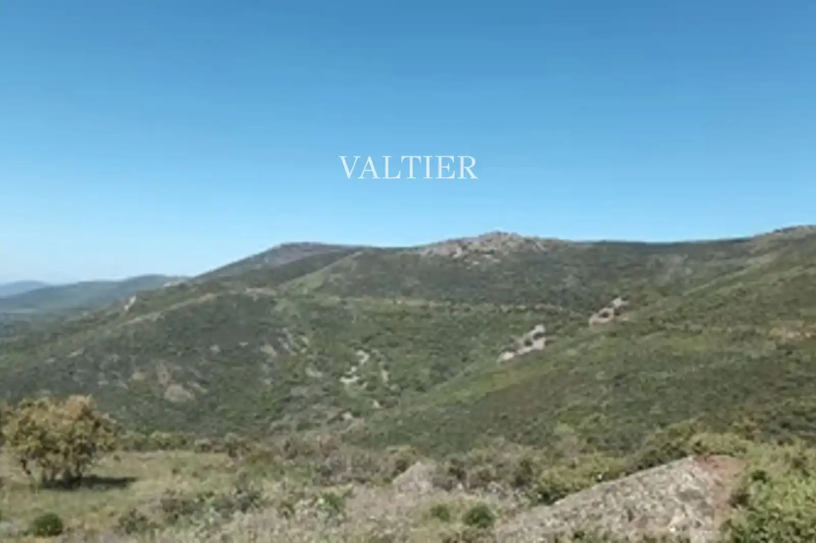 Terreno en venta en Henarejos