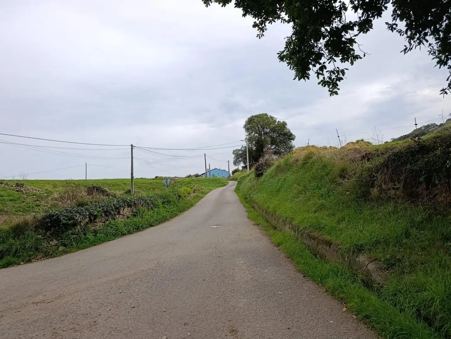 Rustikales Grundstück zum Verkauf in Carretera Piñera (Noriega) 0, imagen 53