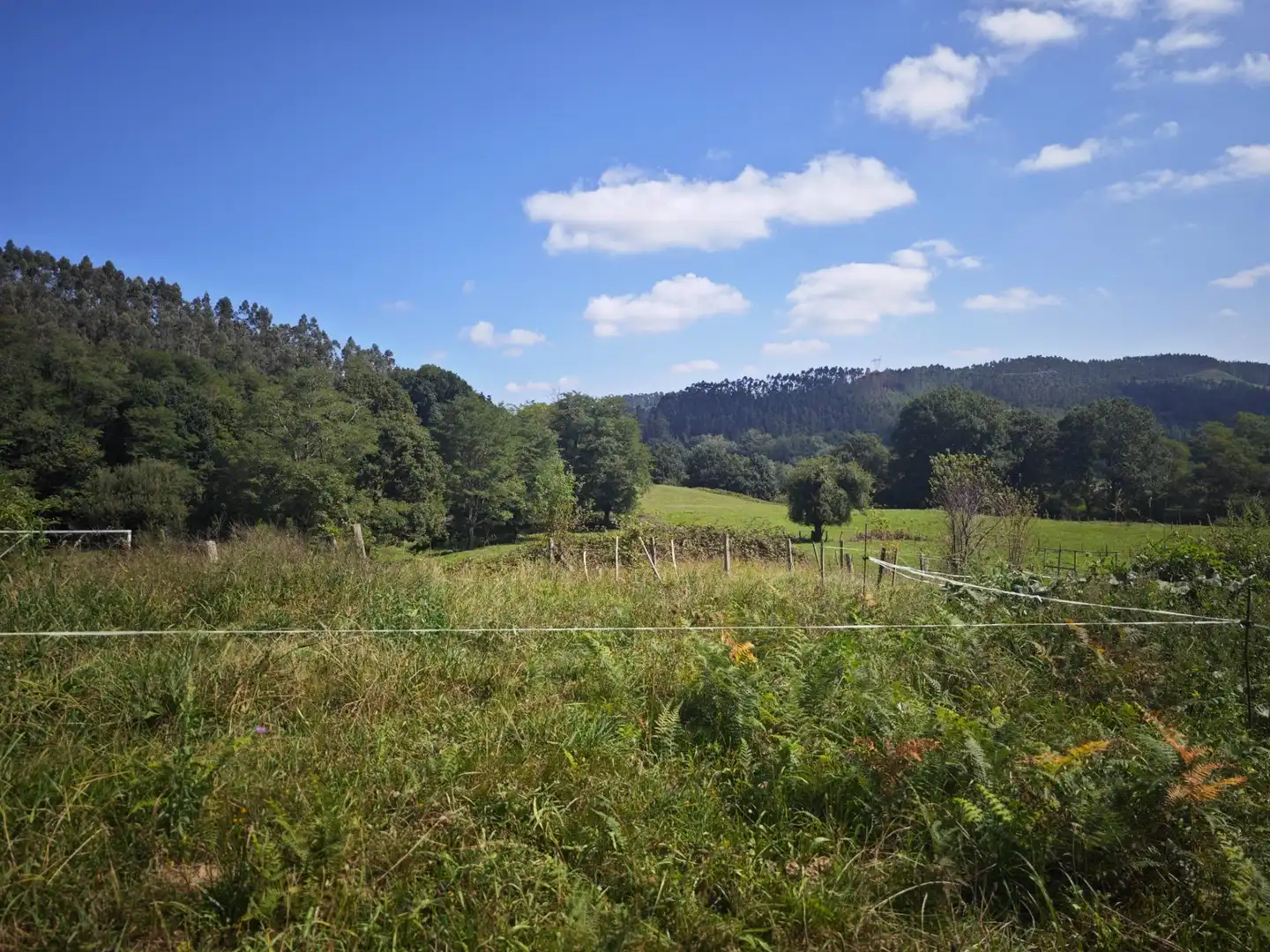 Residential land for sale in Mazcuerras, imagen 3