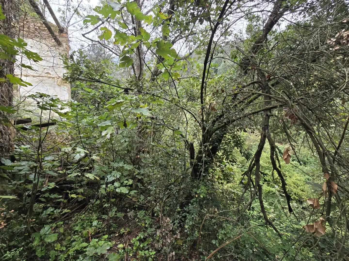 Maison à vendre à Susqueda, imagen 5
