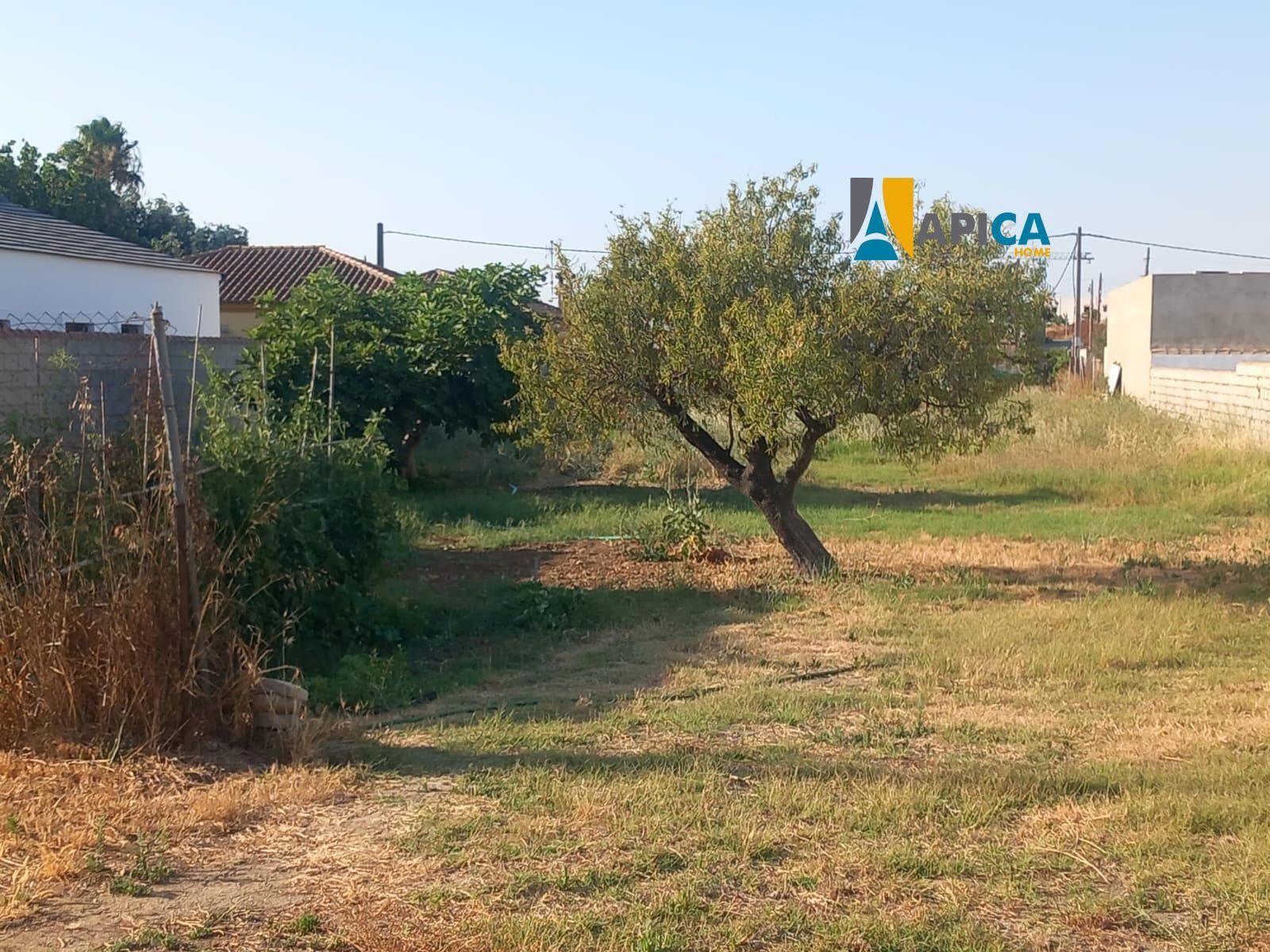 Haus oder Chalet zum verkauf in Las Lagunas - Campano