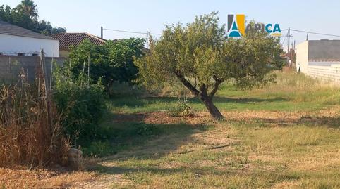 Photo 2 of House or chalet for sale in Las Lagunas - Campano, Cádiz