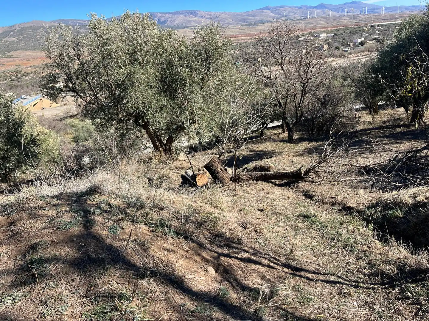 Finca rústica en venda en Fiñana amb Aire condicionat, Jardí privat i Terrassa