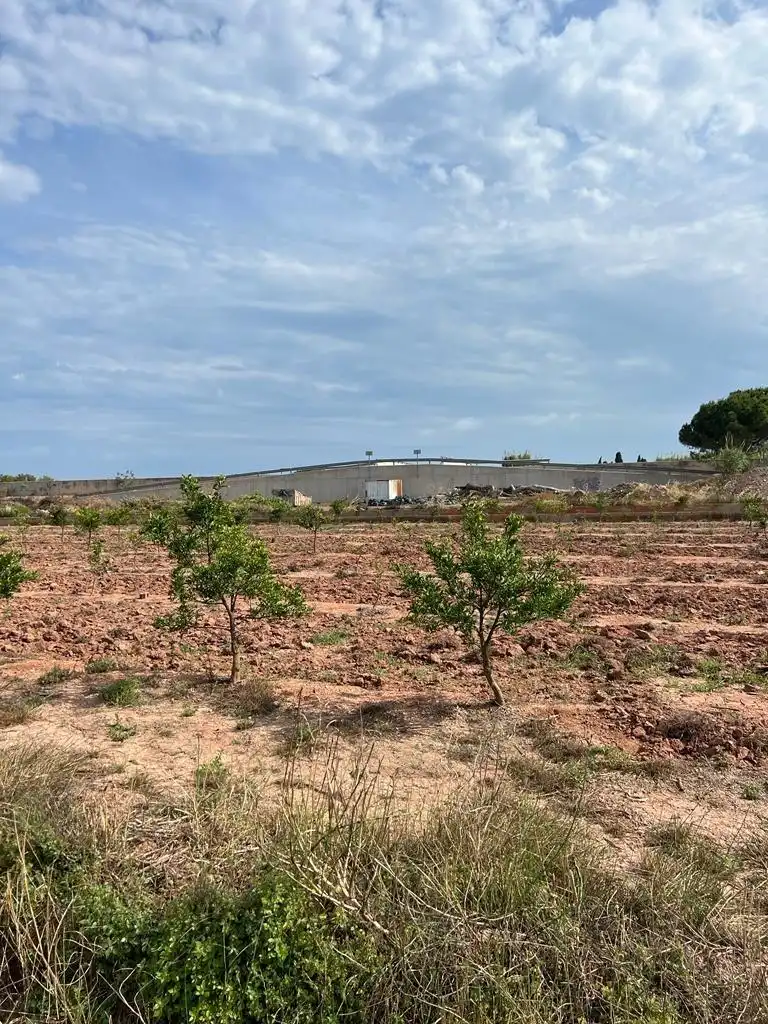 Terreno rústico en venta en Camino ABRES, imagen 11