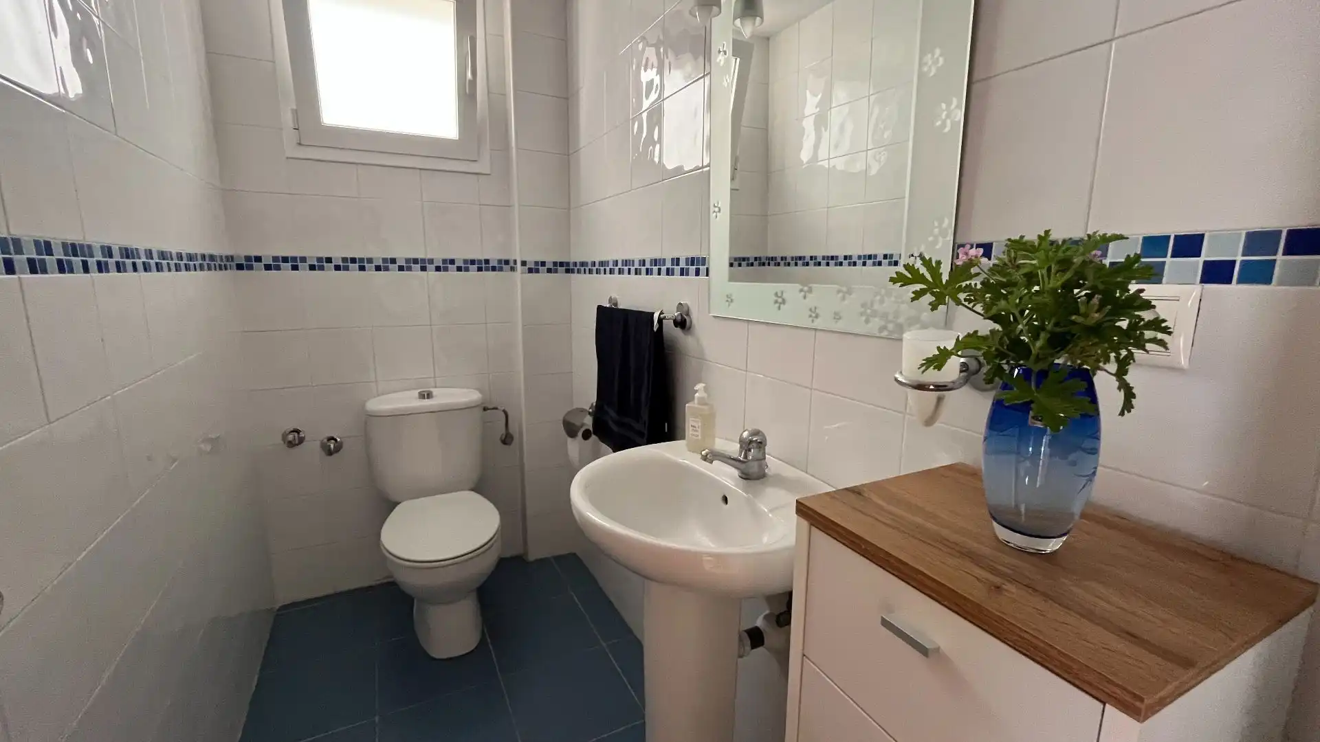 Casa o chalet en venta en Coloma