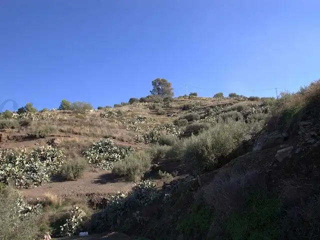 Terreni e lotti in vendita a Torrox Pueblo, imagen 4