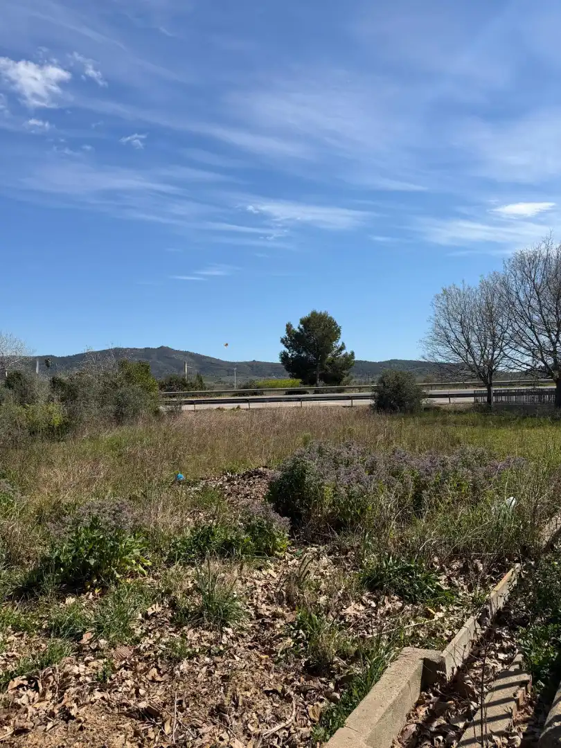 Casa o xalet en venda en Ulldecona amb Jardí privat i Terrassa
