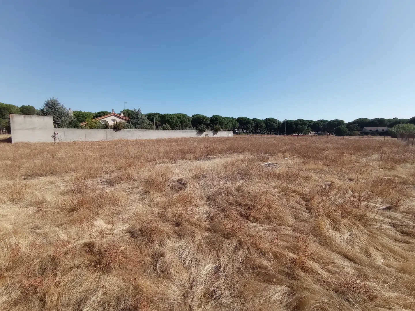 Terreno industrial en venta en Laguna de Duero